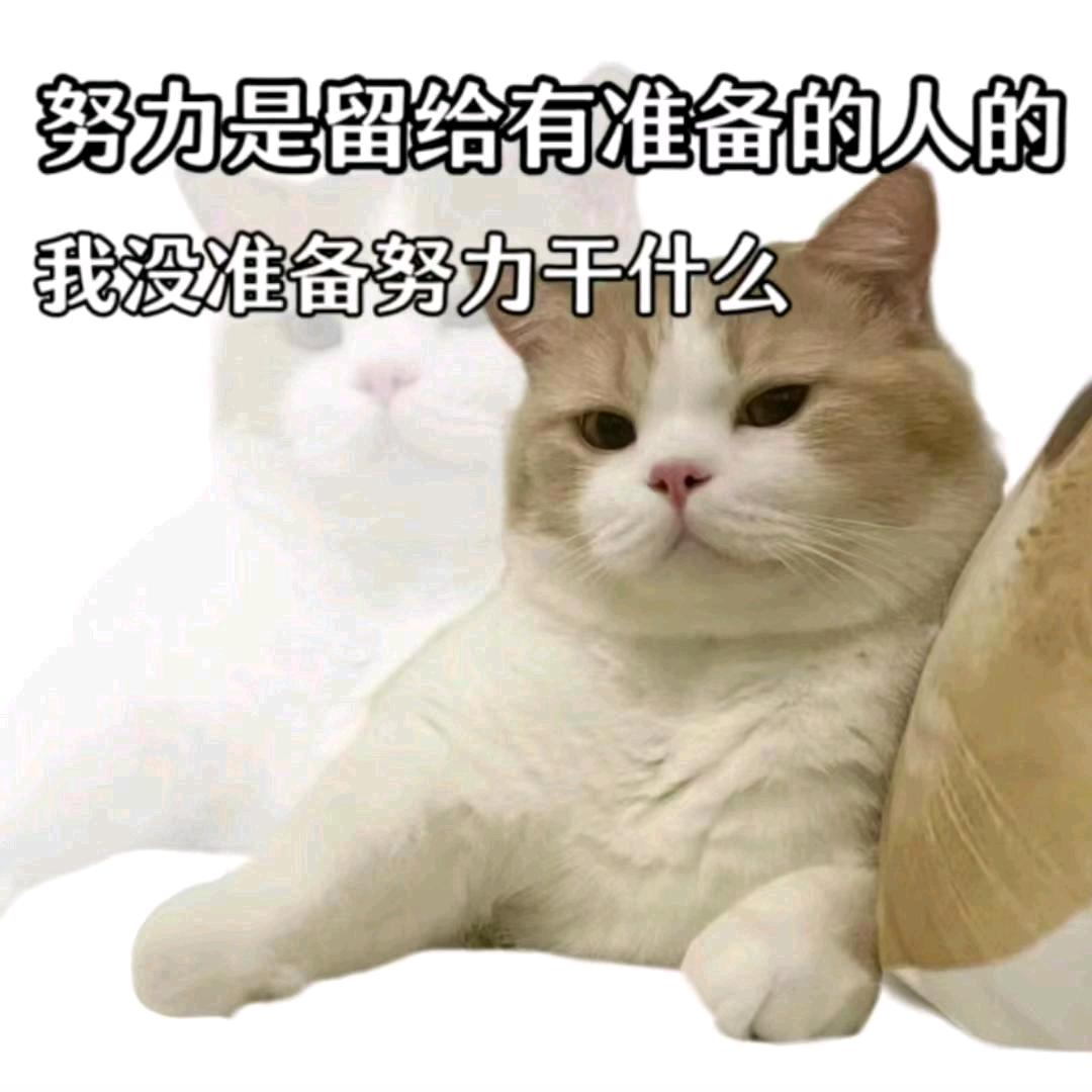 积极下班章鱼哥(运气爆棚版）