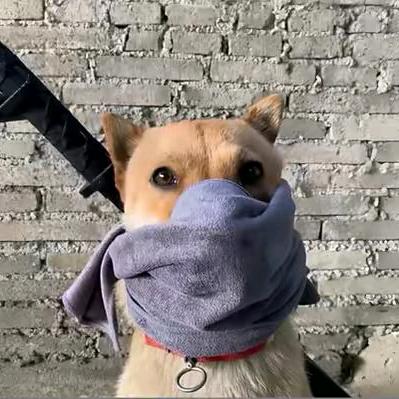 秒
