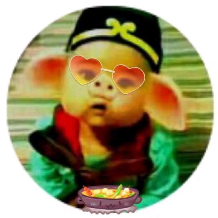 🐷小肥猪
