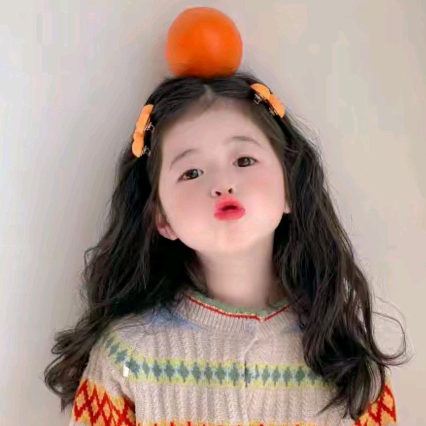 太阳花