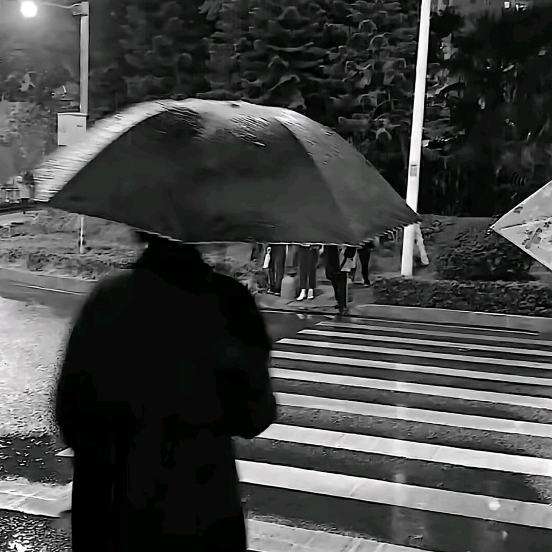 肉松蛋挞