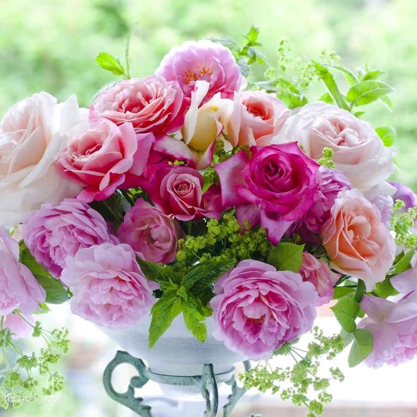 ღ᭄💞青春留不朱໑ຼ₀₂₃💕好物推荐