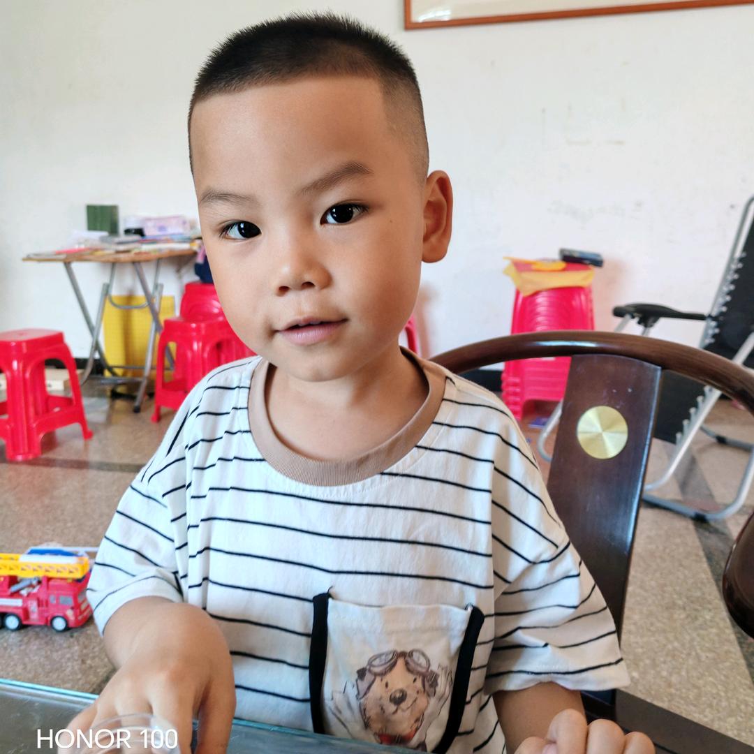 假公安