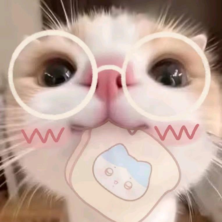 可爱𓆩♡𓆪你