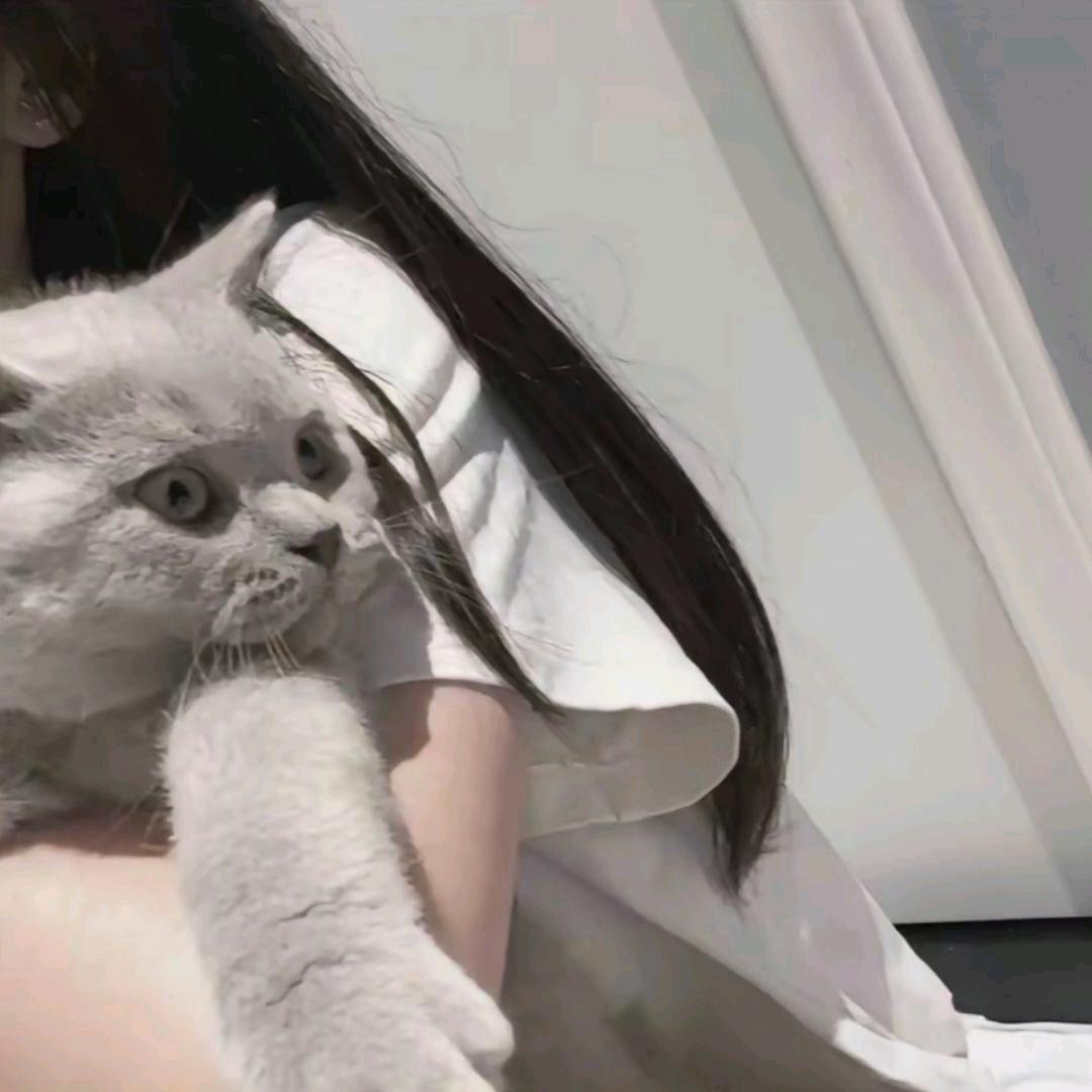 这个世界没有爱