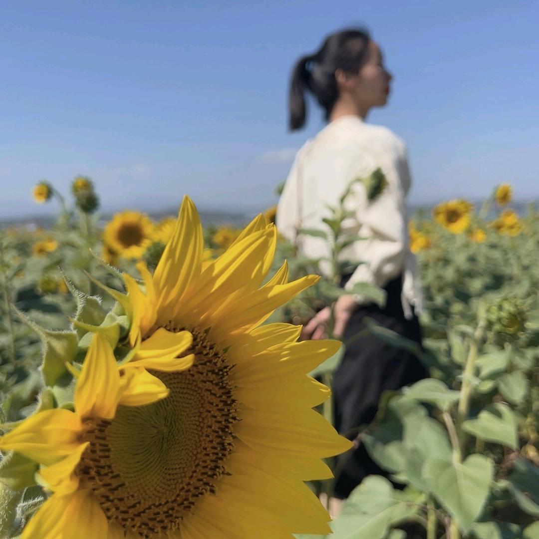 在卫辉做脸纪水汪汪的燕燕