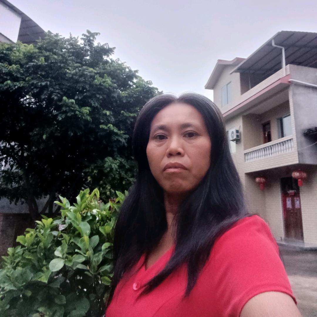 凤凤