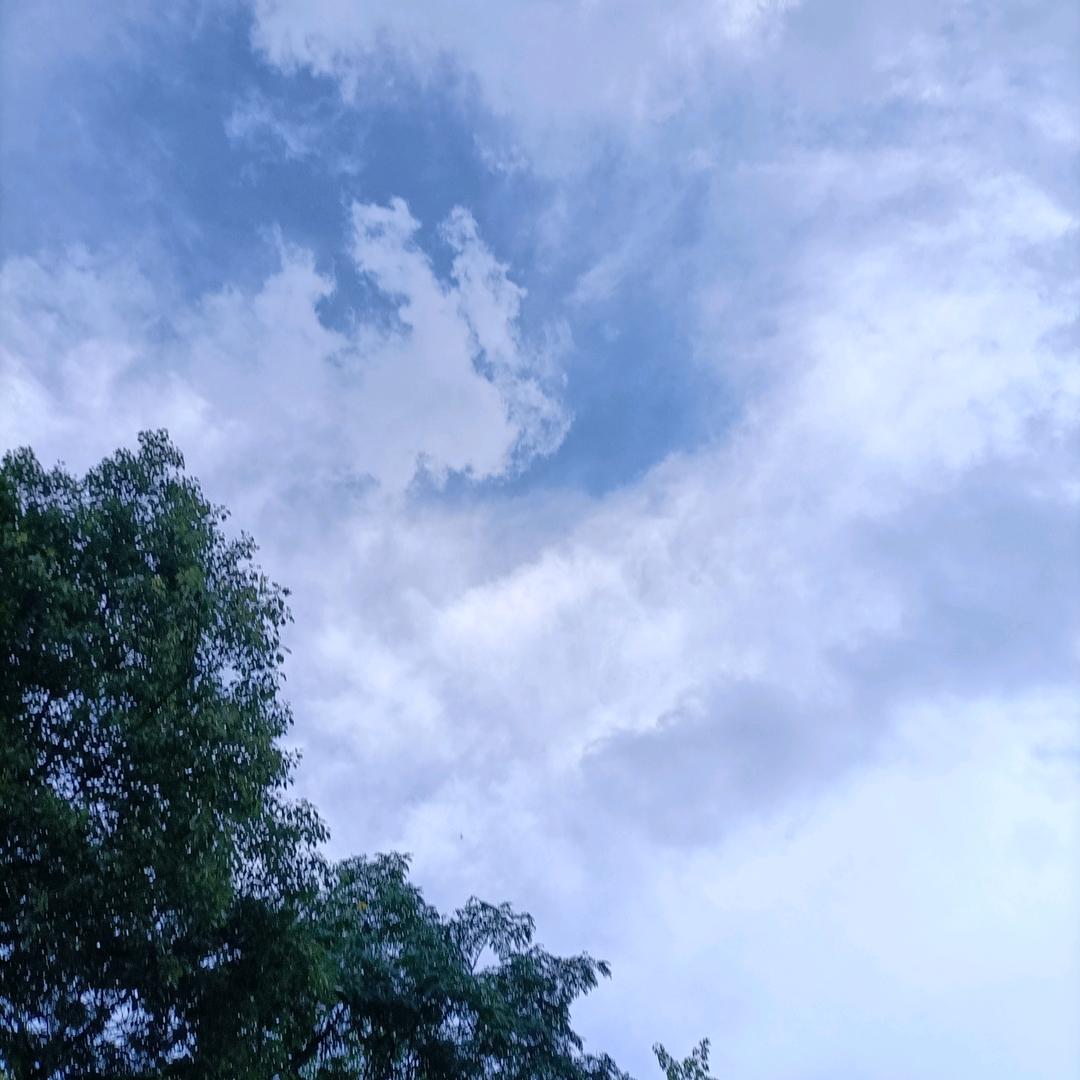 逸辰（杨）【魏源康养】