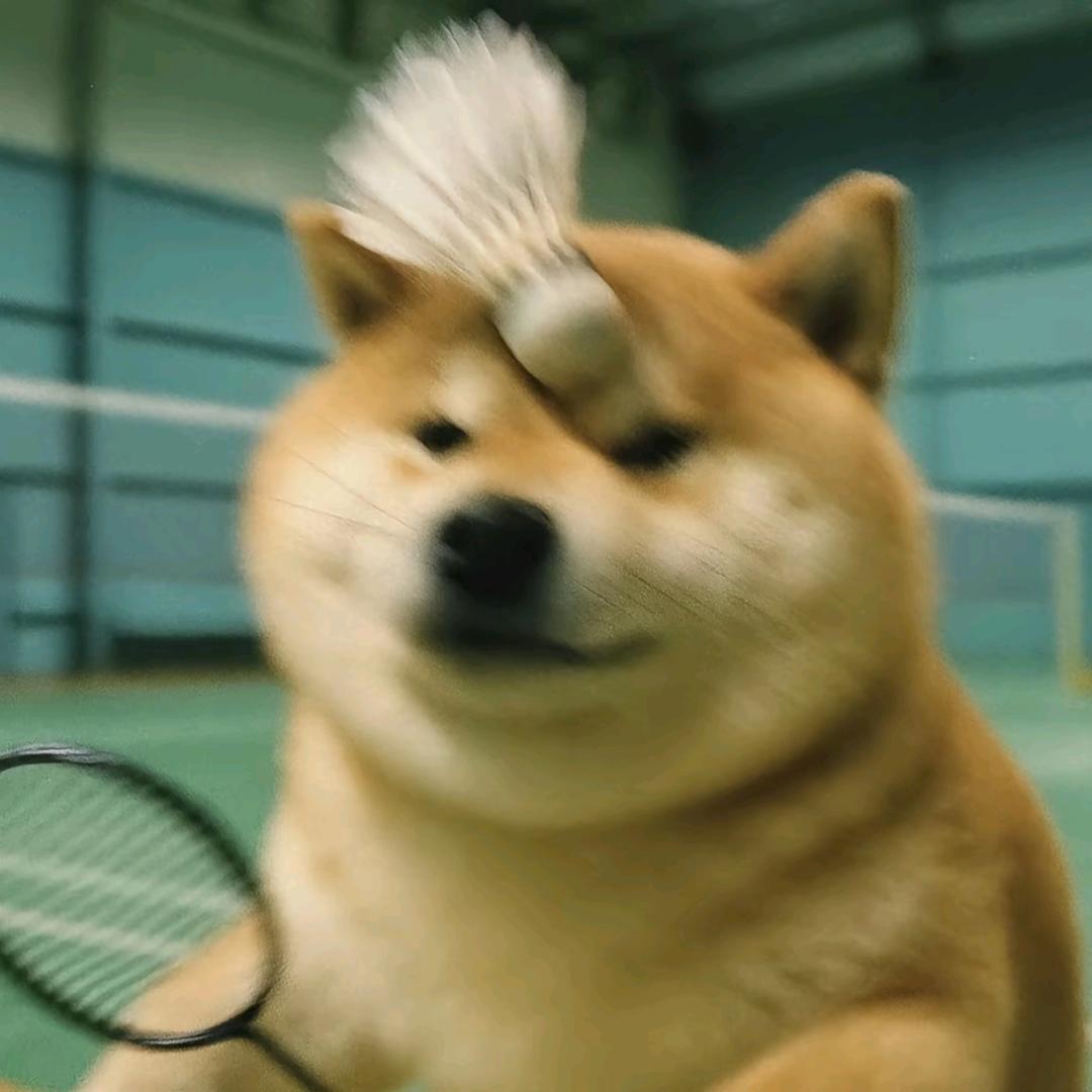 打羽毛球的小柴