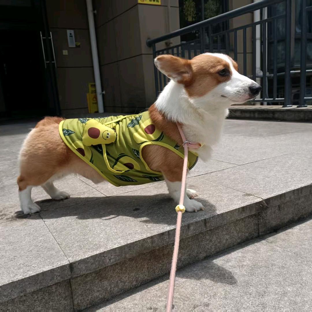 靓仔