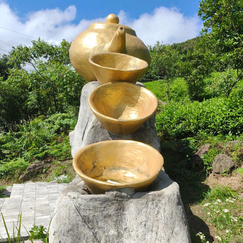 五哥