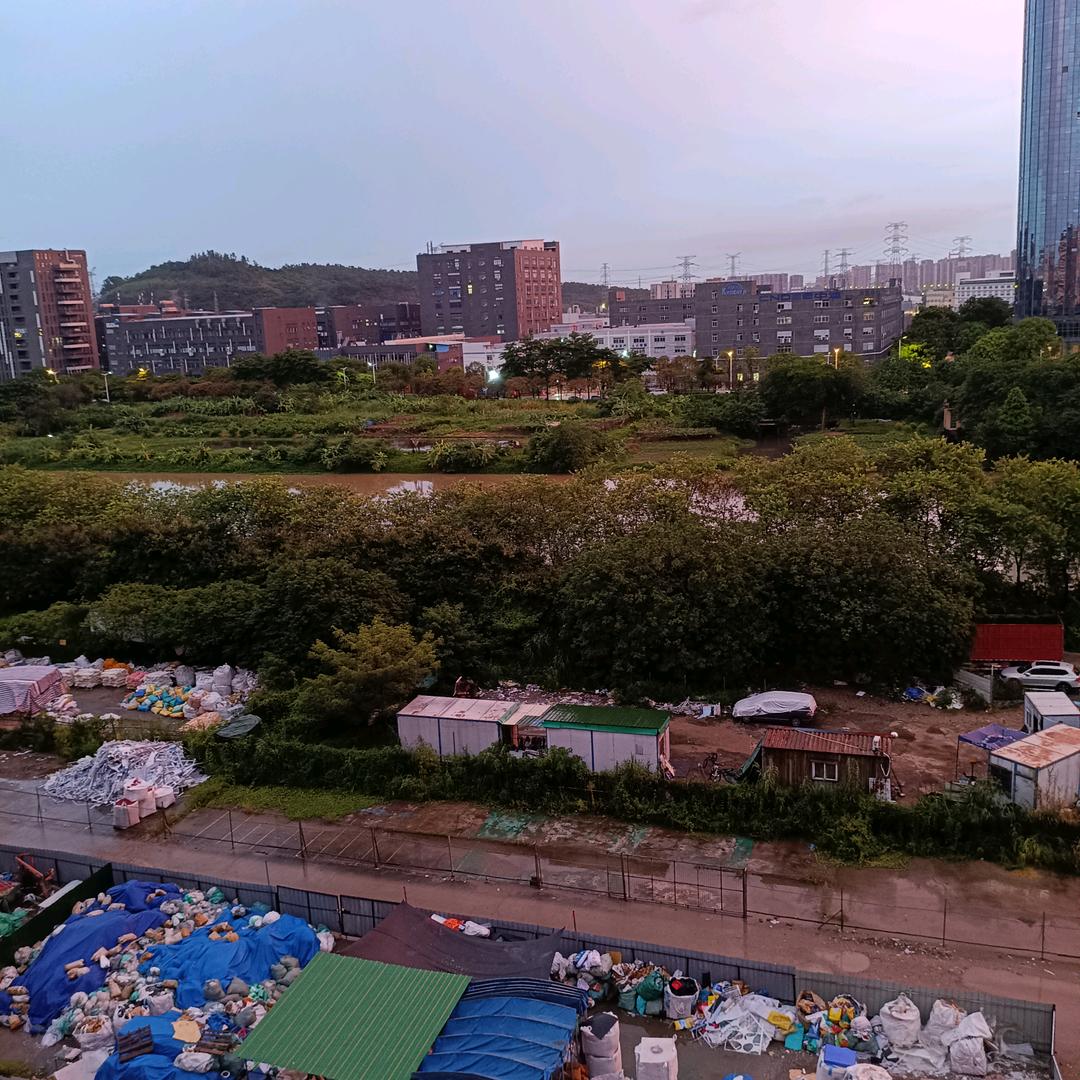三清姐
