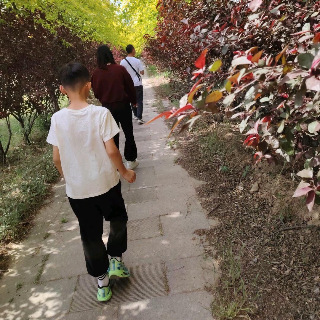 德州夏津-鲁通全国物流-