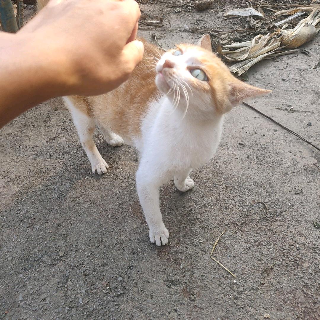 曼悦酒店的顾星珩头像