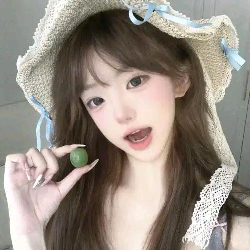 奶酪宠物用品