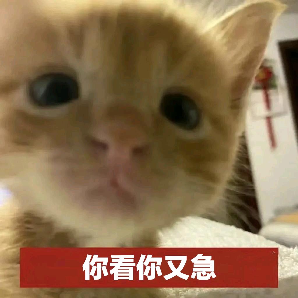前进.