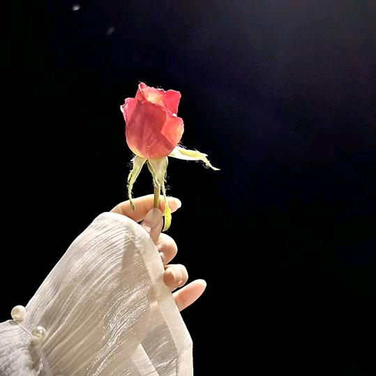 💗᭄小幸运💫🍀