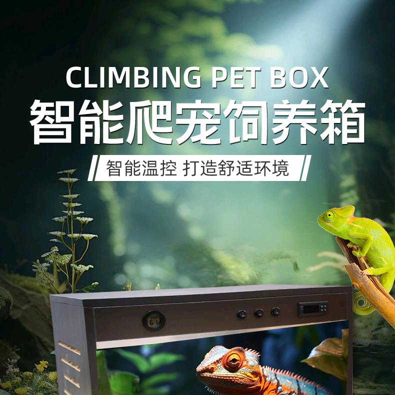 眼镜哥爬宠用品