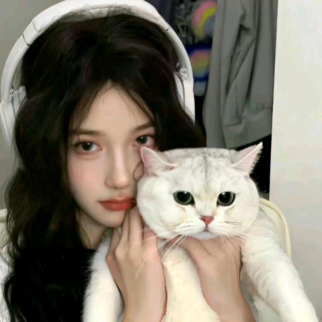 小李不讲李