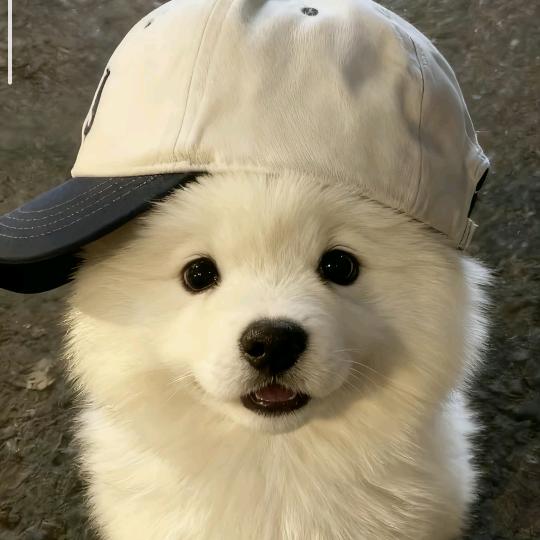 南北·