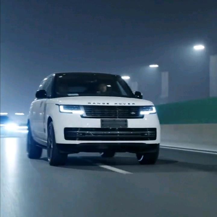 ʕ•̫͡·ʔ向阳
