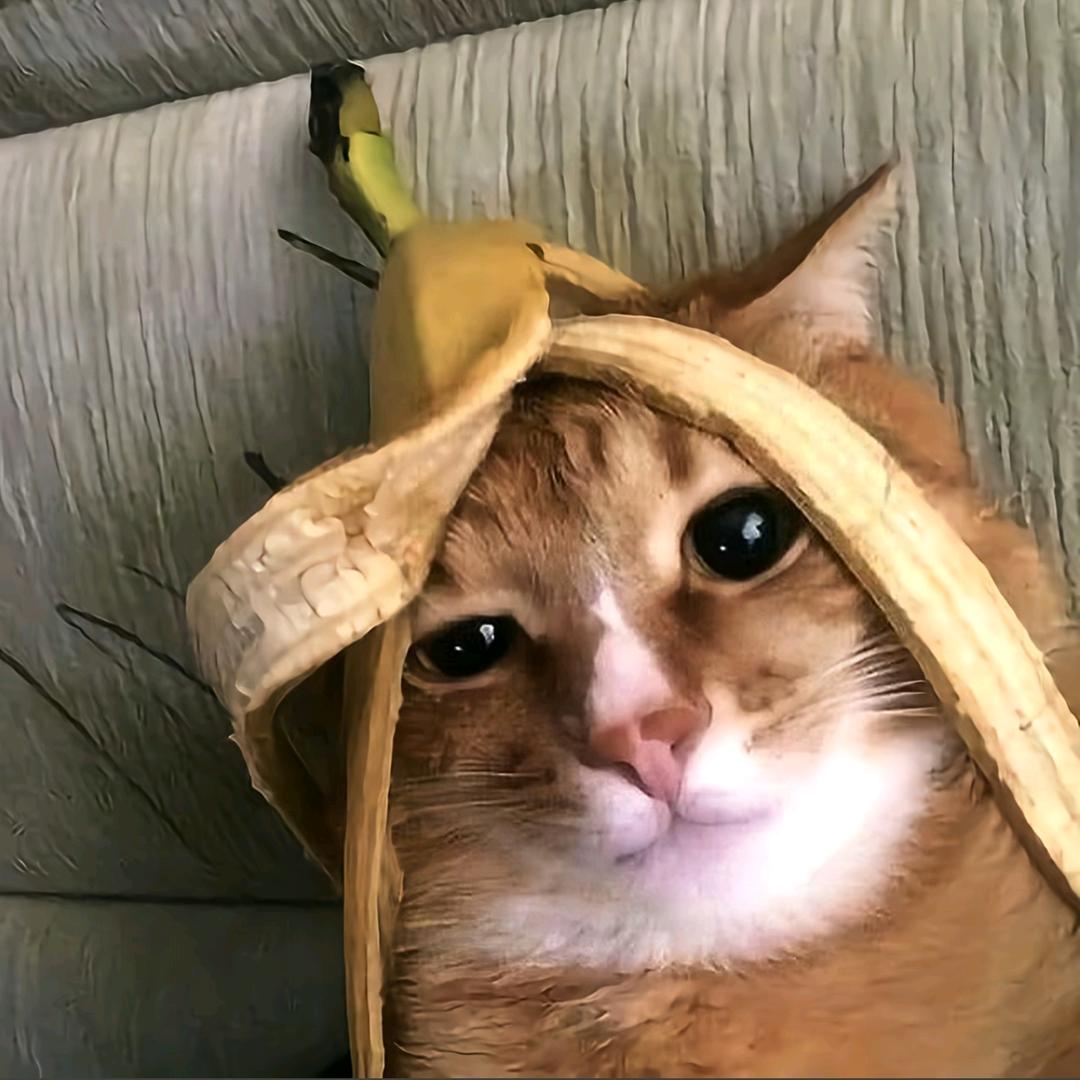 喻