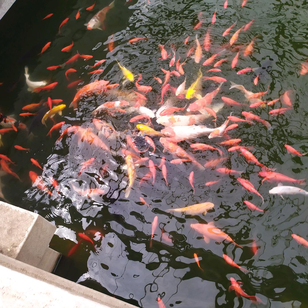 万事如意