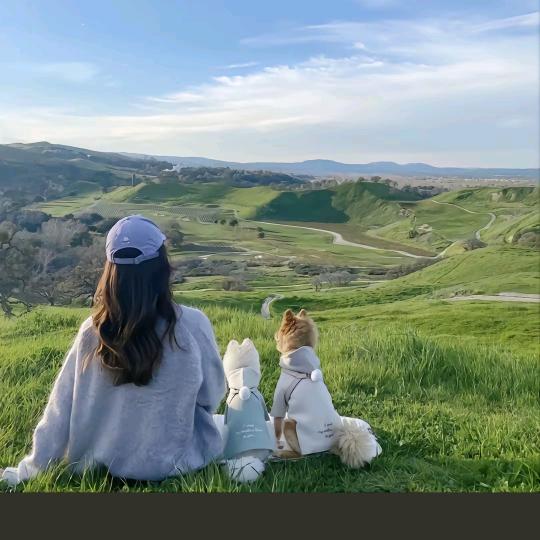 🌹梦幻泡影ʚ♡⃛ɞ🎀