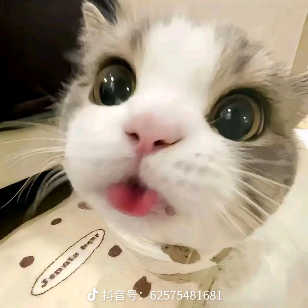 @雨天＂