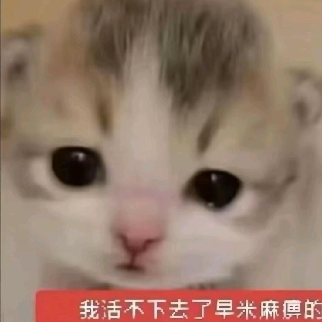 oi