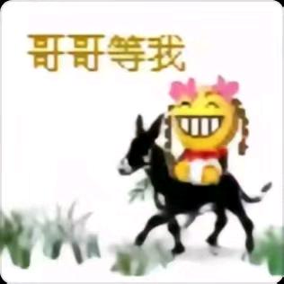 柿柿皆顺