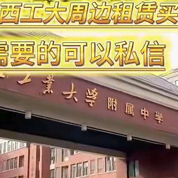 西工大周边只会卖房租房的小伙子