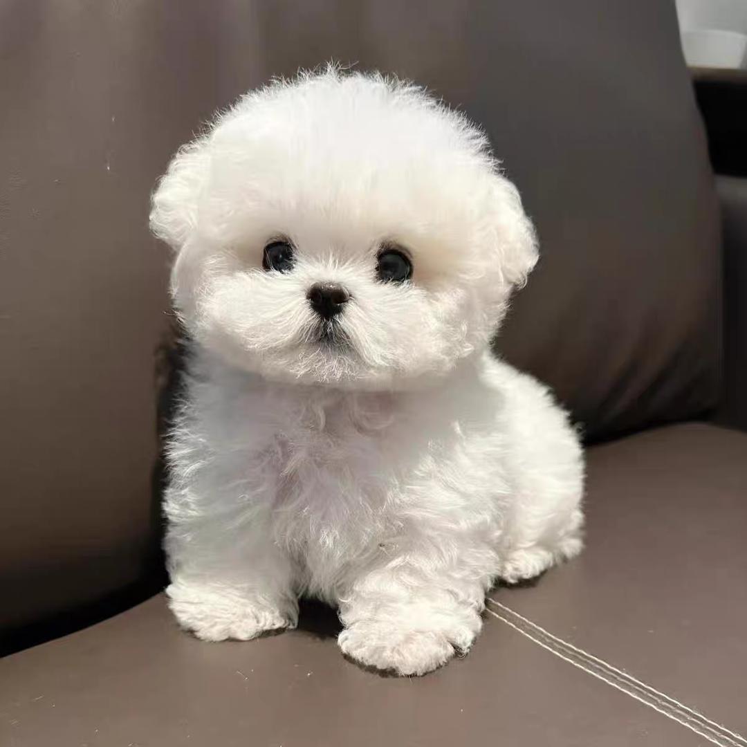 阿康😇