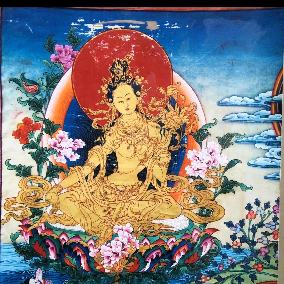 成来松布