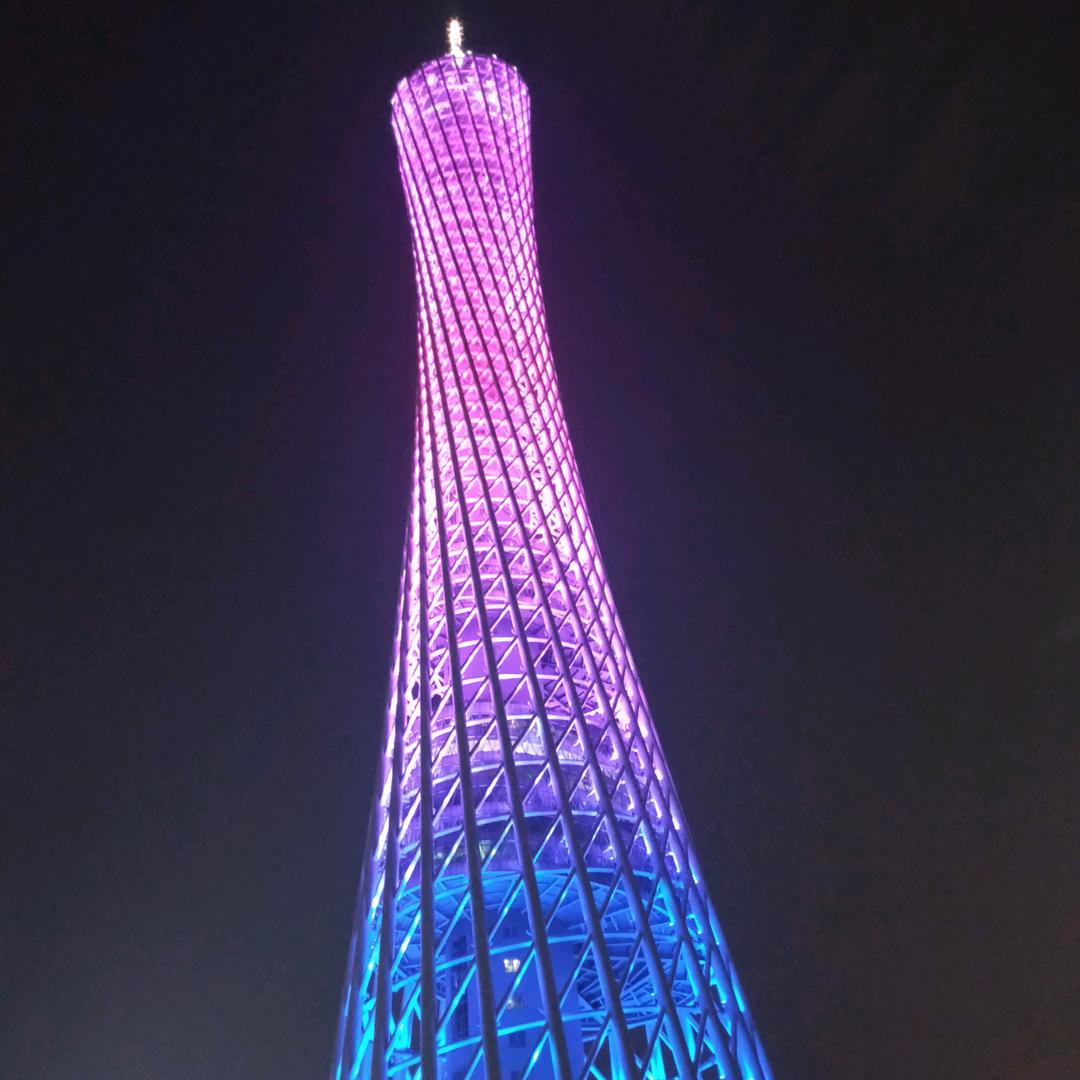 八鸽