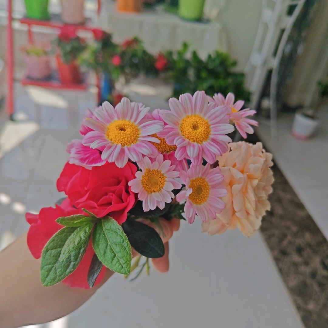 嫣荣