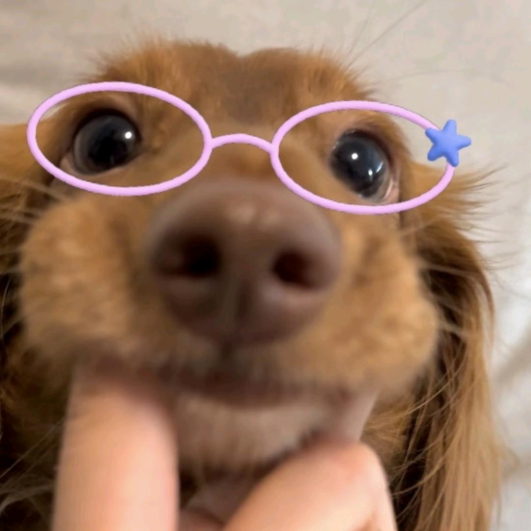 吃土豆长大的马铃薯🥔