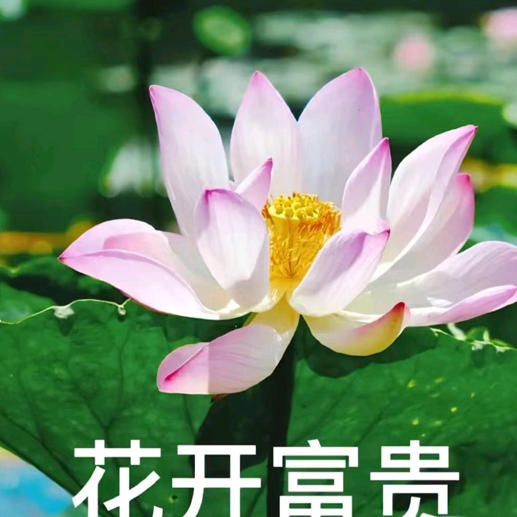乔李寿衣三十年老店