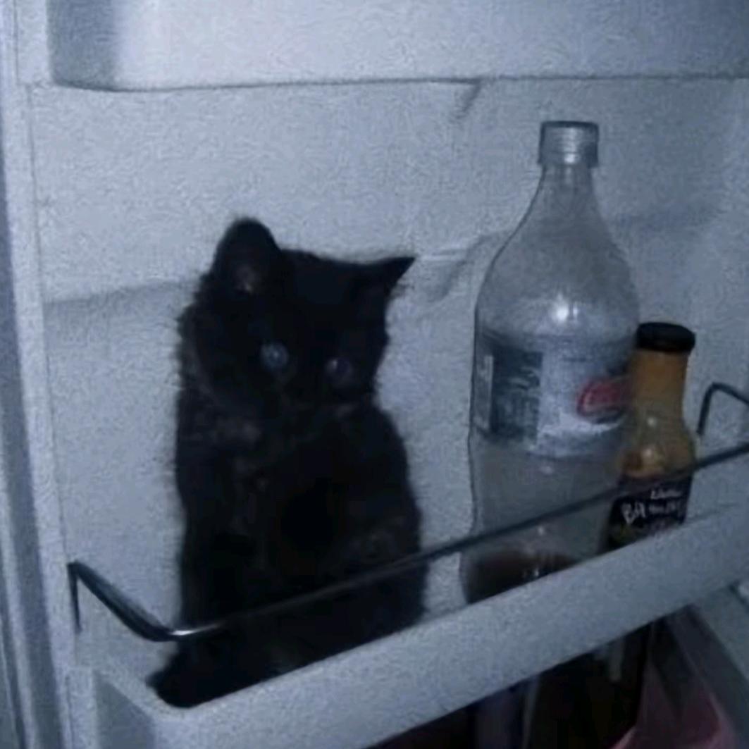 休休休休休休喵