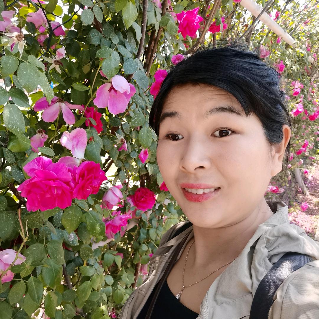 梦儿
