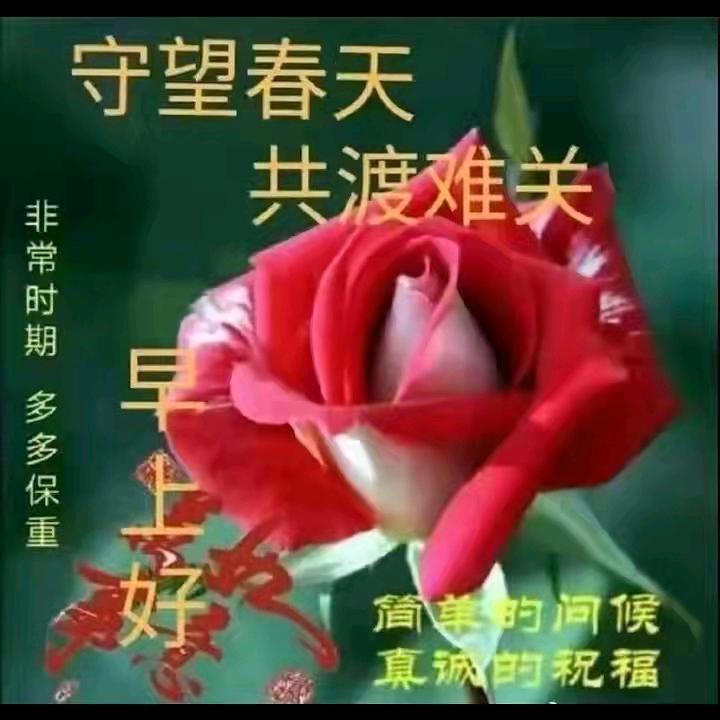 时光已去不复还