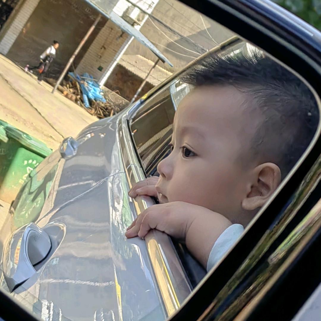 飞飞飞飞