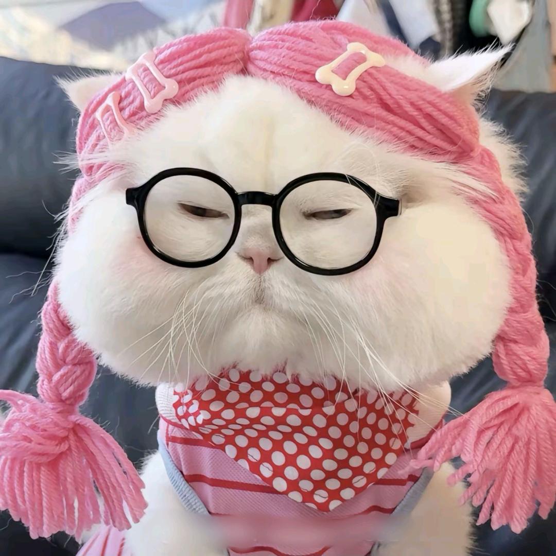 小猪仔🐷