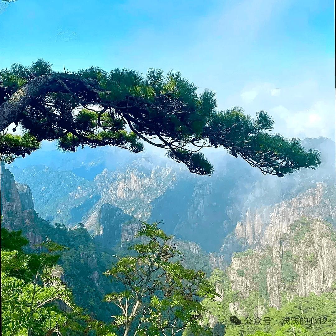 悦昕