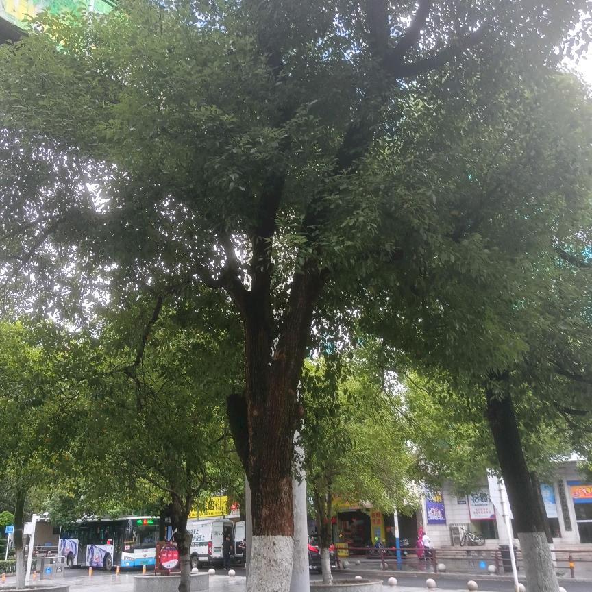 珍惜