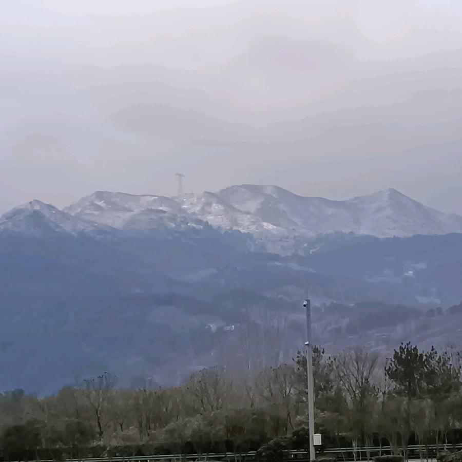 ❤️不吃草的羊❤️