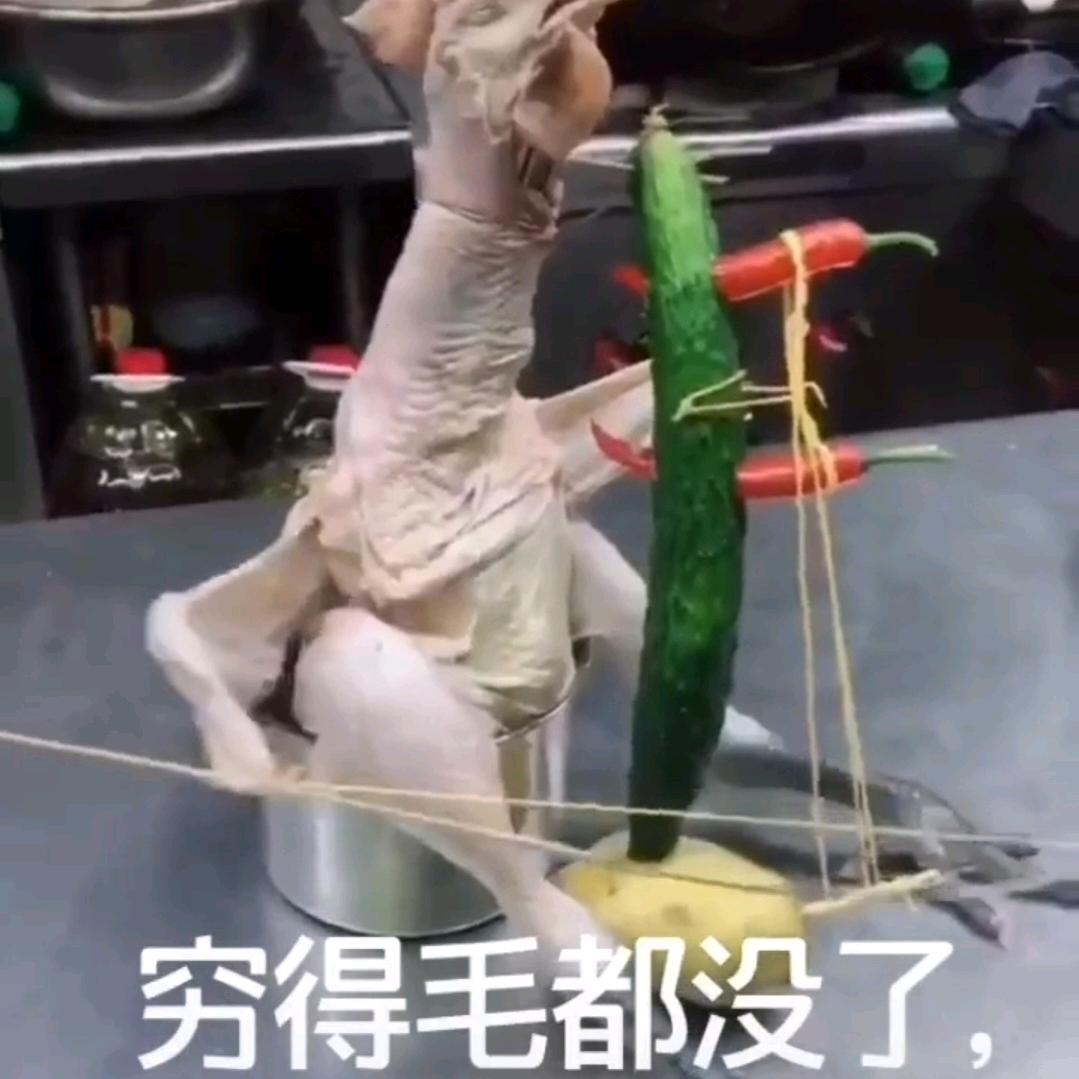 同你好熟吗