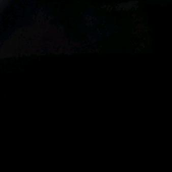 用户779135337
