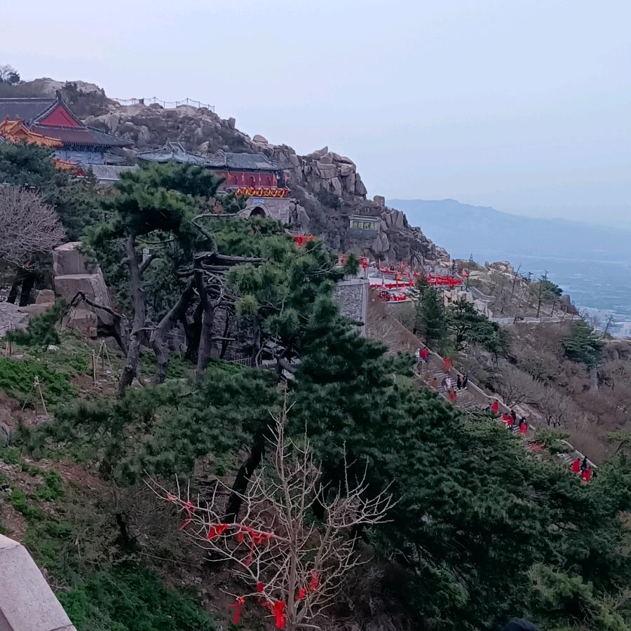 天涯独行客