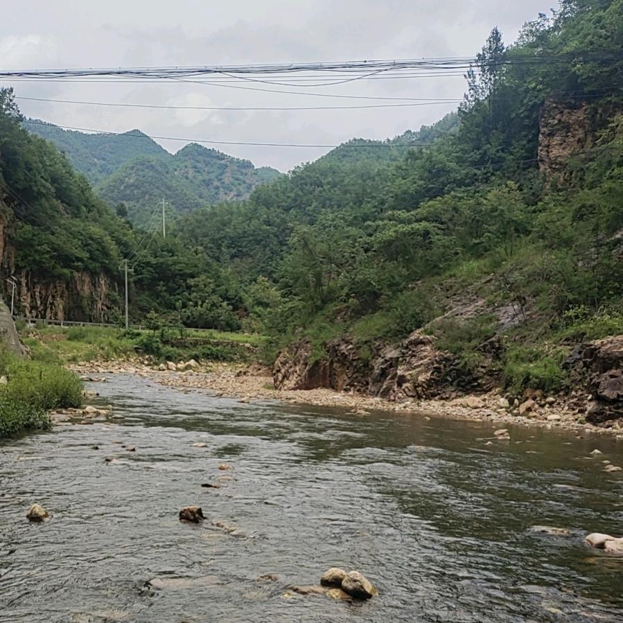 葬爱～挖坟埋自己